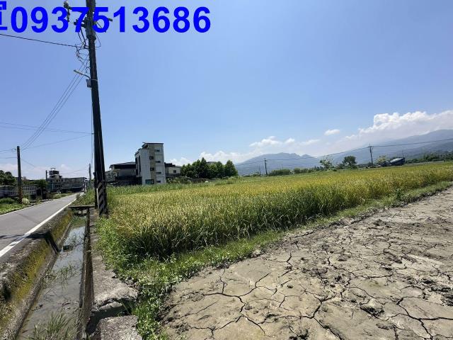 宜蘭農地-6