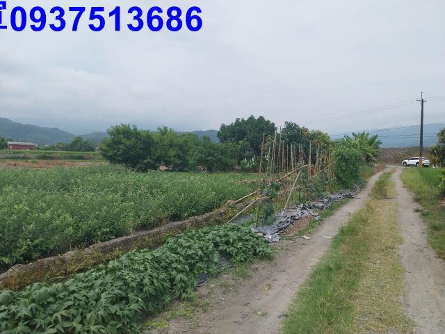 宜蘭農地-2