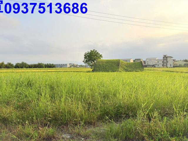宜蘭農地-5
