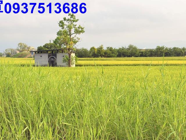 宜蘭農地-8