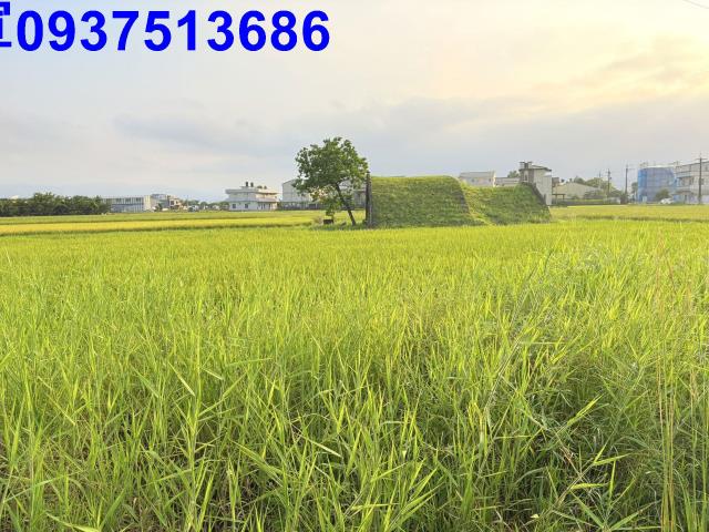 宜蘭農地-9