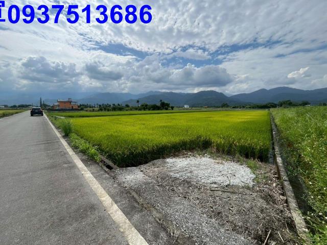 宜蘭農地-9