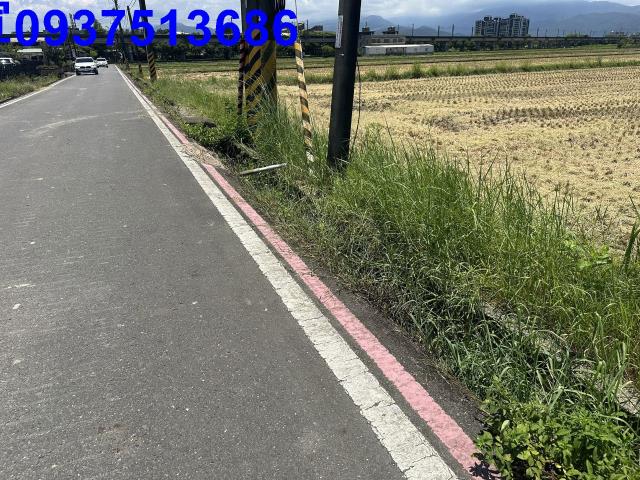 宜蘭宜蘭市農地-14