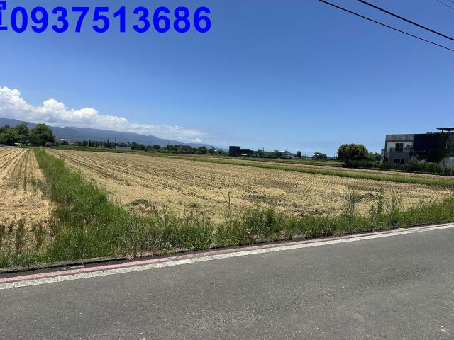宜蘭宜蘭市農地-4