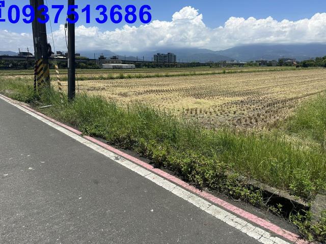 宜蘭宜蘭市農地-6