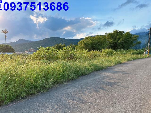 宜蘭頭城農地-1