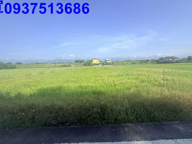 宜蘭三星農地-14