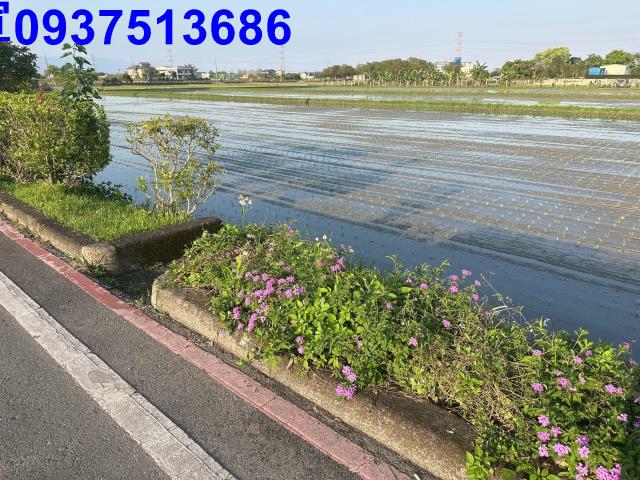 宜蘭三星農地-2