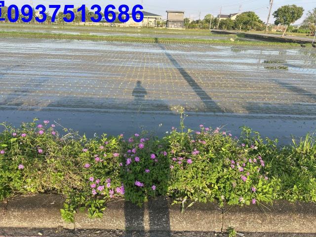 宜蘭三星農地-3