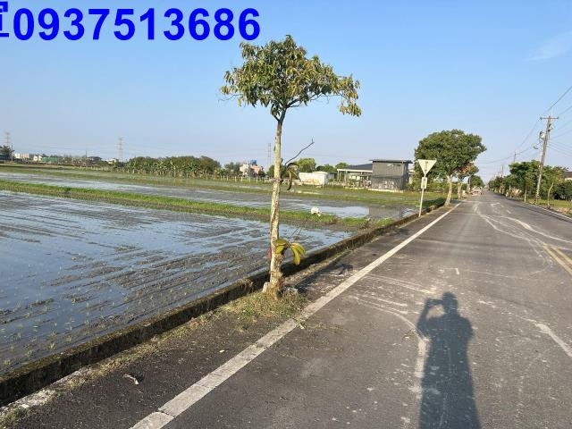 宜蘭三星農地-5