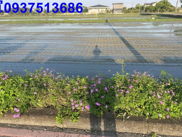 宜蘭三星農地-7