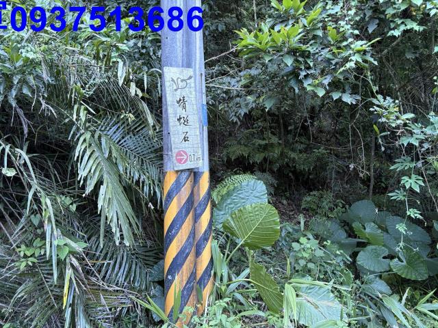宜蘭頭城林地-10