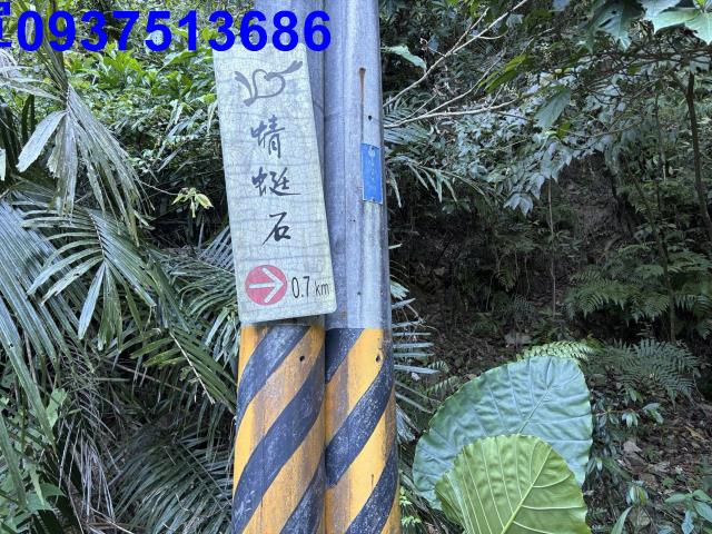 宜蘭頭城林地-11