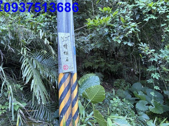 宜蘭頭城林地-12
