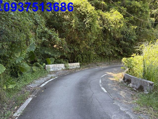 宜蘭頭城林地-1