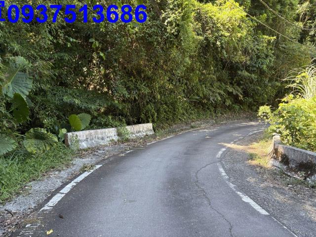 宜蘭頭城林地-3
