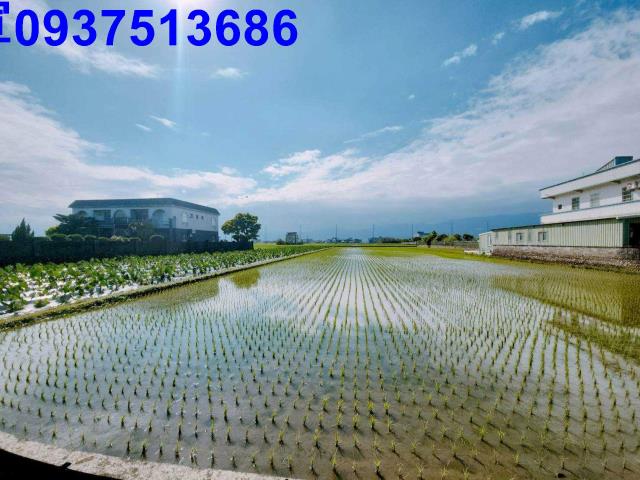 宜蘭壯圍農地-14