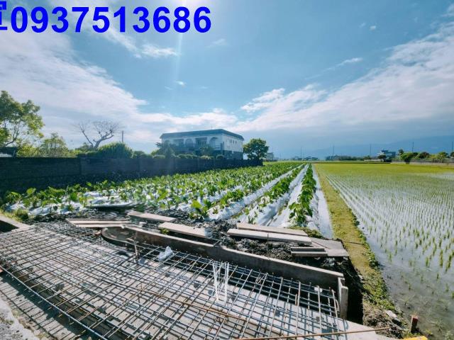 宜蘭壯圍農地-3