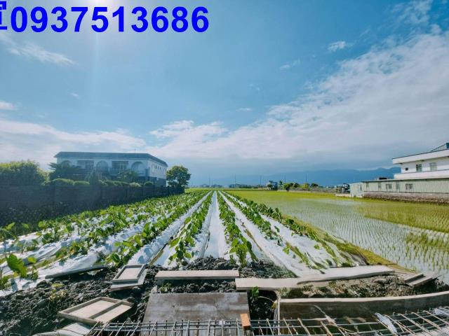 宜蘭壯圍農地-4