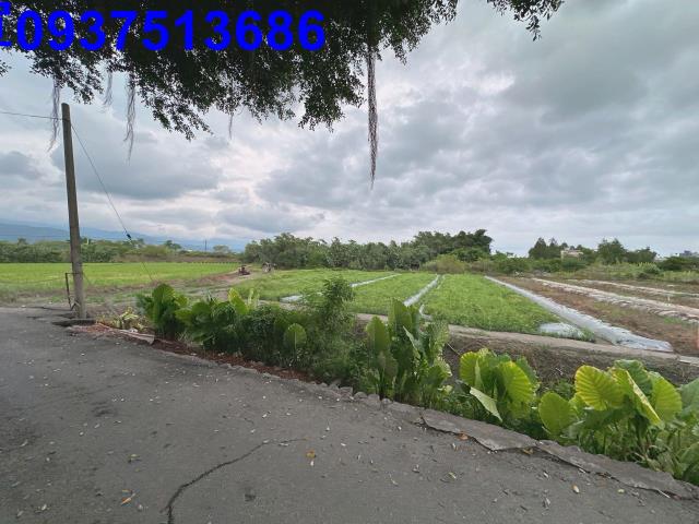 宜蘭員山農地-1