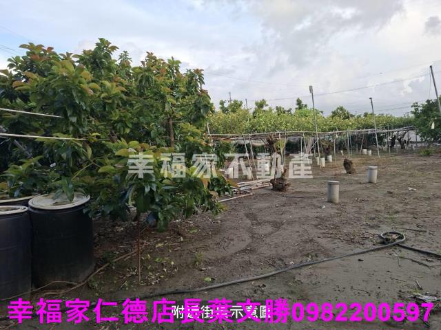 台南西港農地-10