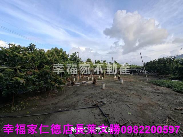 台南西港農地-0