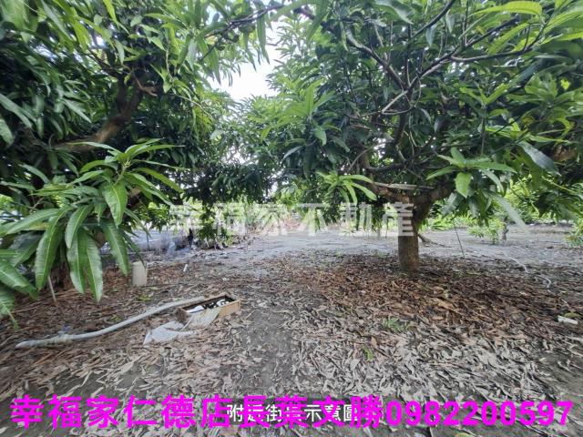 台南西港農地-1