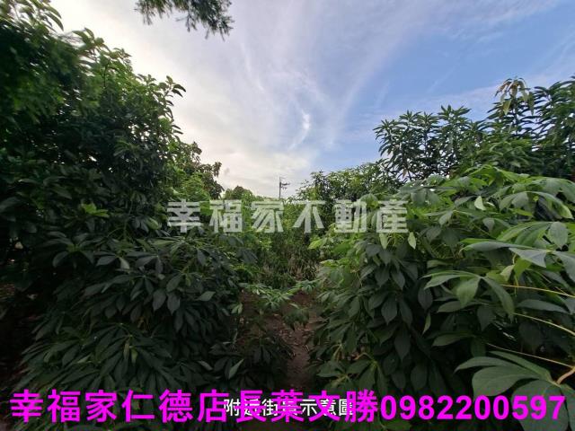 台南西港農地-3