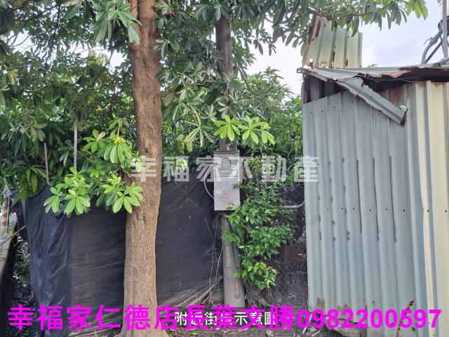 台南西港農地-6