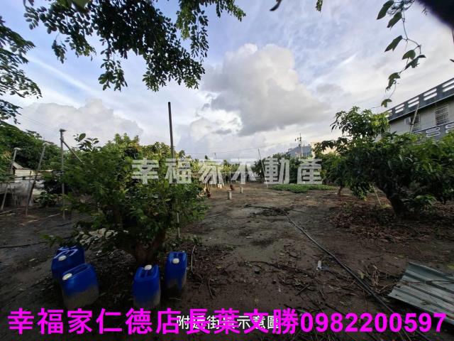 台南西港農地-8