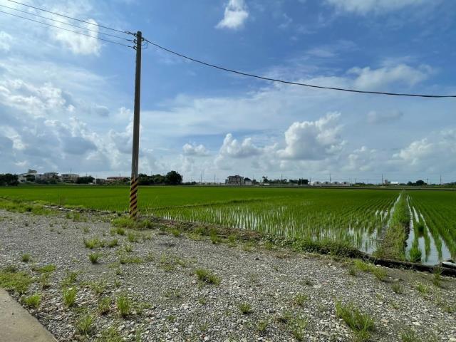 民雄農地-0