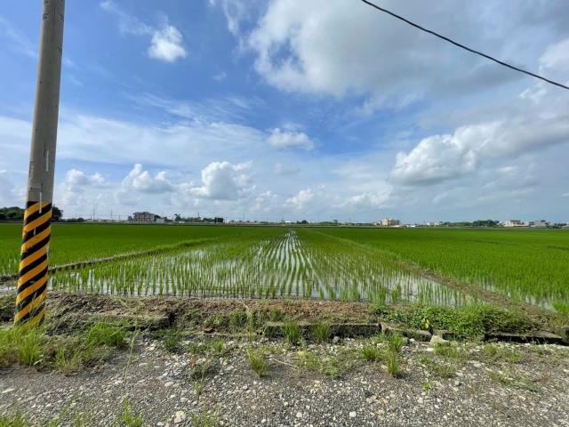 民雄農地-1