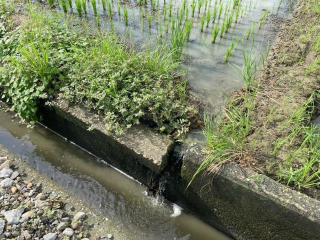 民雄農地-3