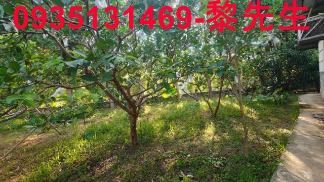 北埔農地-15