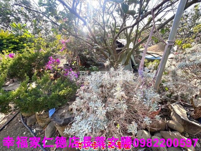 麻豆農地-11
