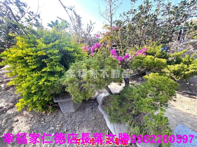 麻豆農地-6