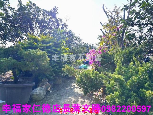 麻豆農地-7