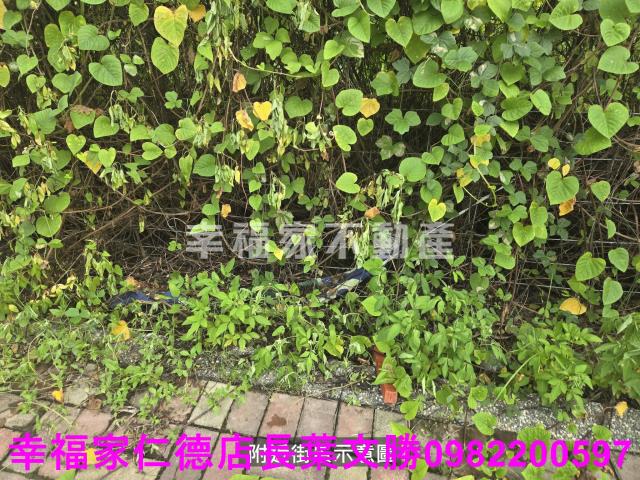 麻豆工業地-3