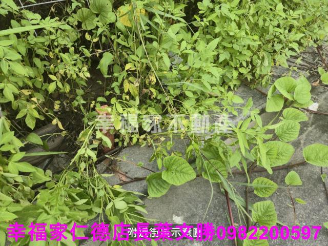 麻豆工業地-4