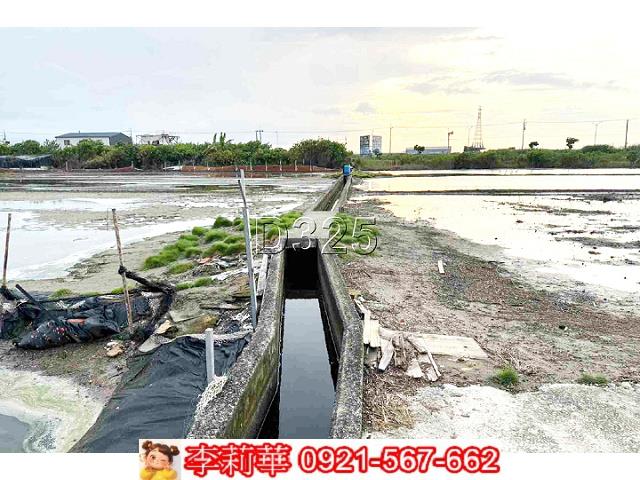安南農地-9