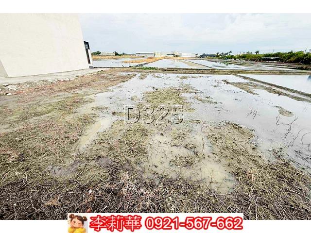 安南農地-4