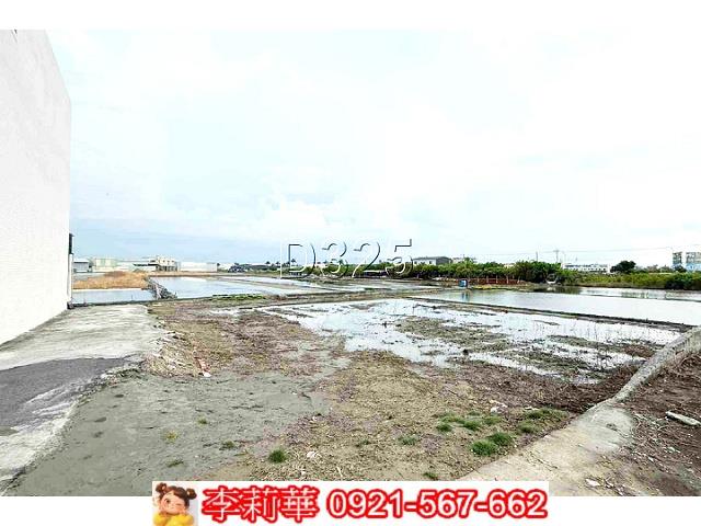 安南農地-5