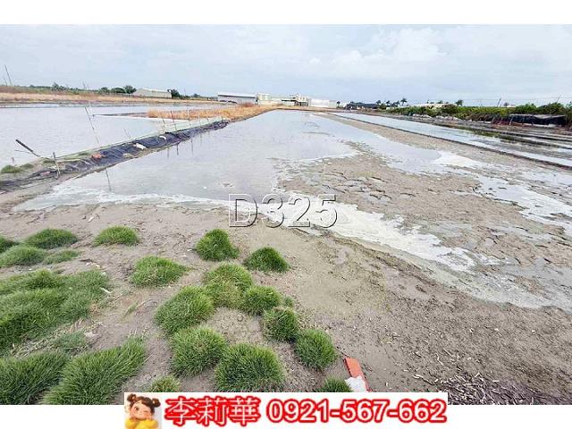安南農地-6