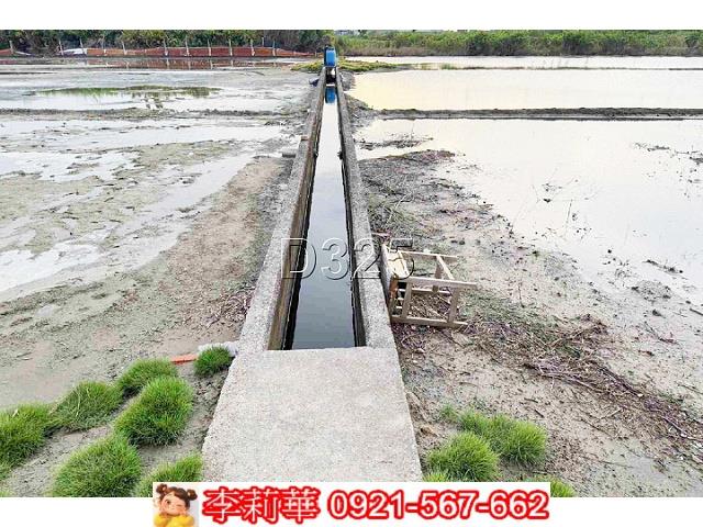 安南農地-8