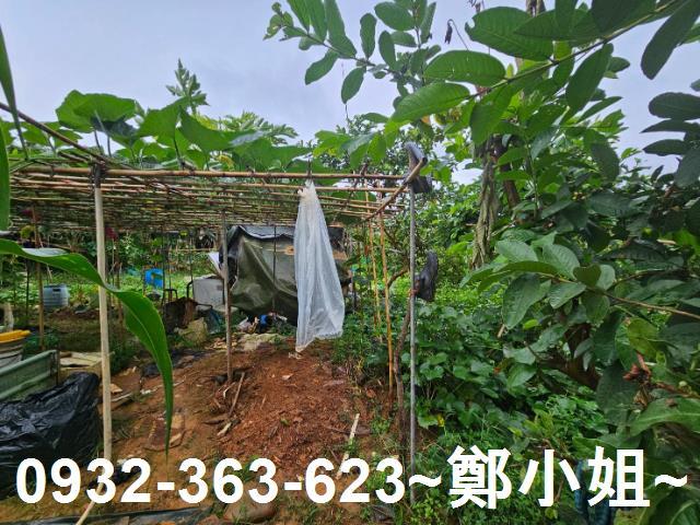桃園區農地-7