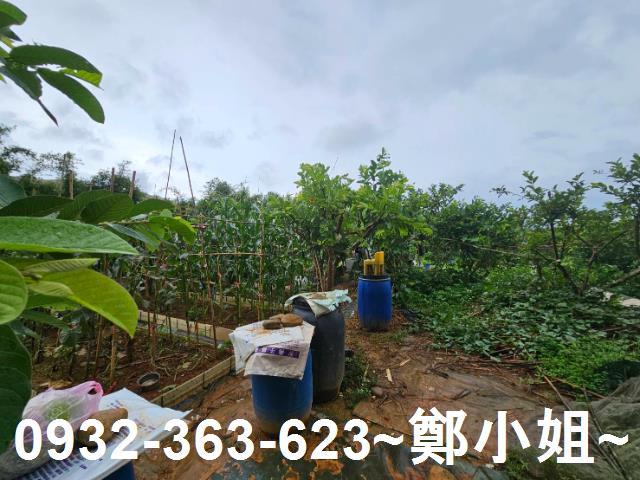 桃園區農地-8