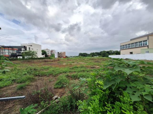 新化農地-8
