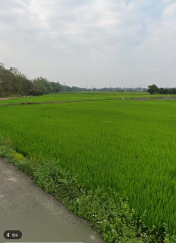 白河農地拍賣-5