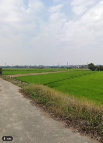 白河農地拍賣-6