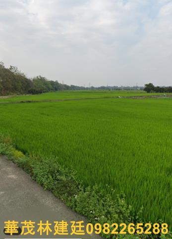 白河農地拍賣-1